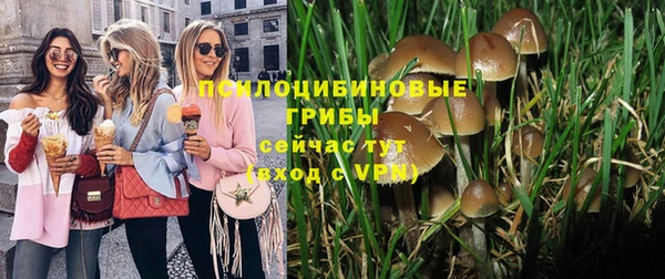 гидра Магас