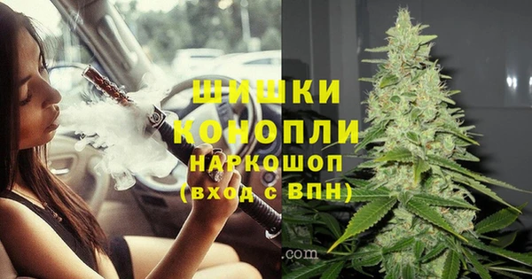 гидра Магас