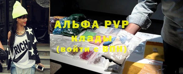 гидра Магас