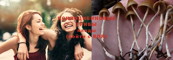мет Майский