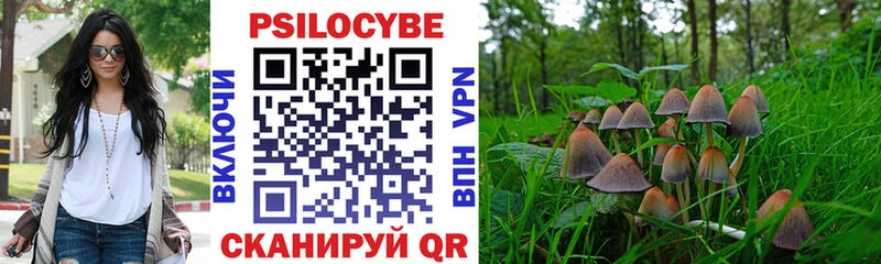 цена наркотик  Острогожск  Галлюциногенные грибы прущие грибы 