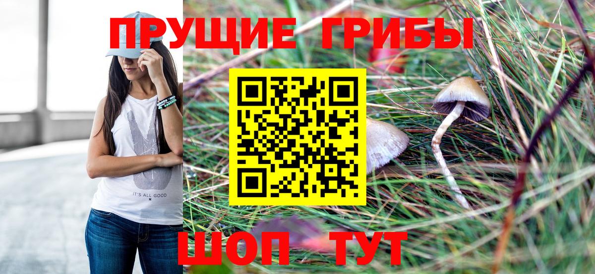 Острогожск  Галлюциногенные грибы GOLDEN TEACHER  Вход с VPN  Галлюциногенные грибы Psilocybe 